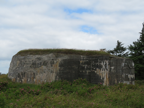 Der größte der drei Bunker ist 70 m2 groß und enthielt eine Kanonenposition, die das Wasser zwischen Mandø und Fanø bedeckte. Foto: Charlotte Lindhardt.
